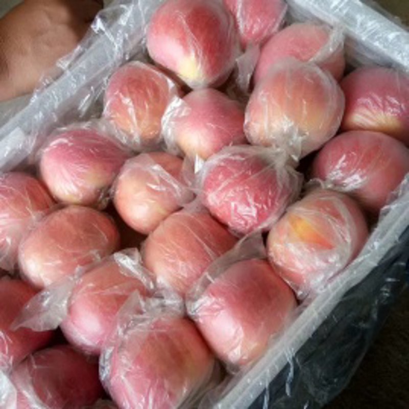 行业动态聚焦:探寻丽德轩贸易有限公司的成长之路